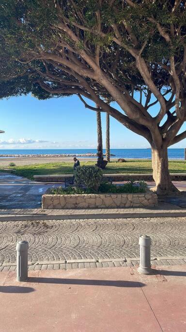 Beachfront House 马拉加 外观 照片